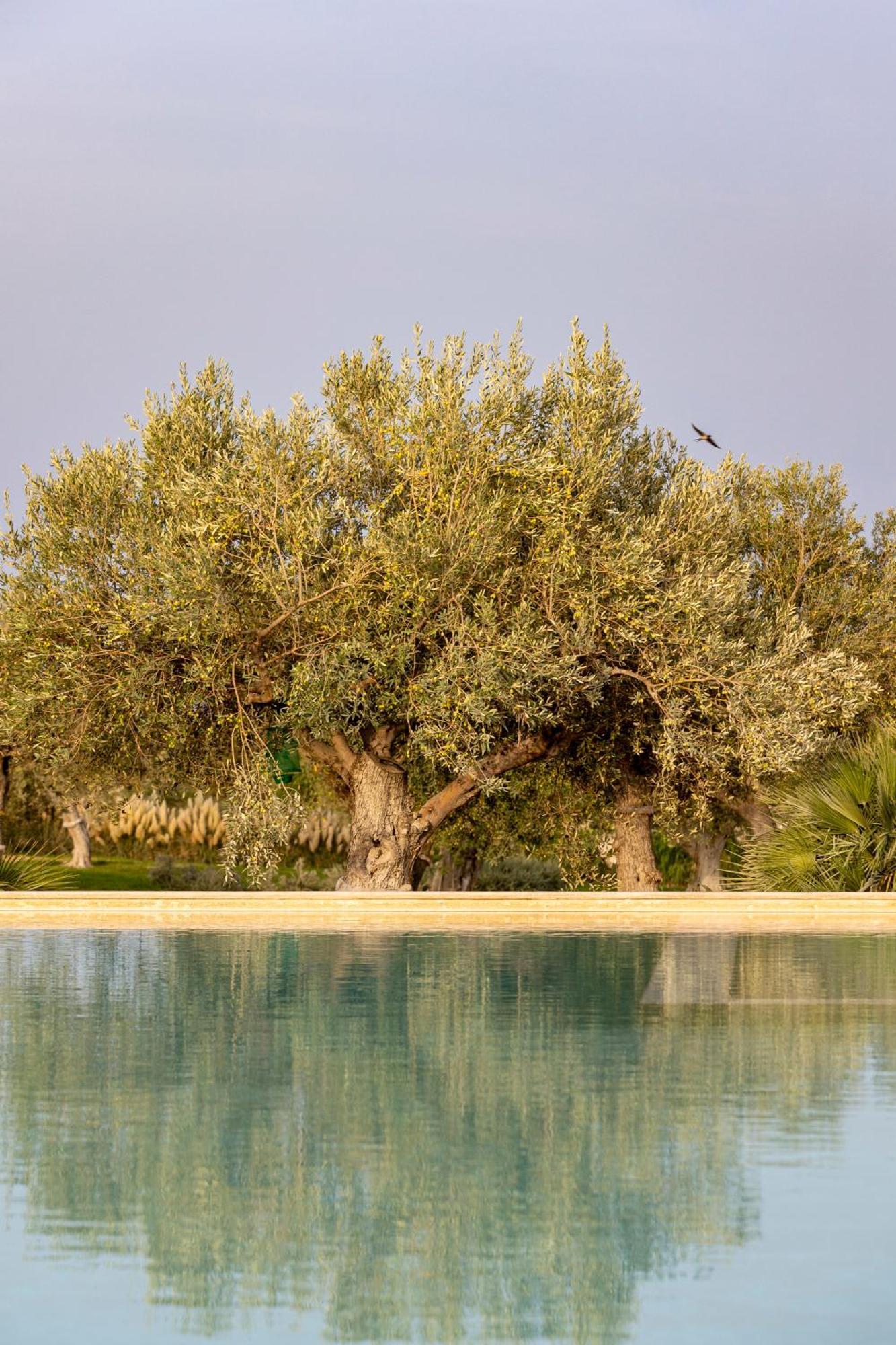 Agua Green Resort Reitani Dış mekan fotoğraf