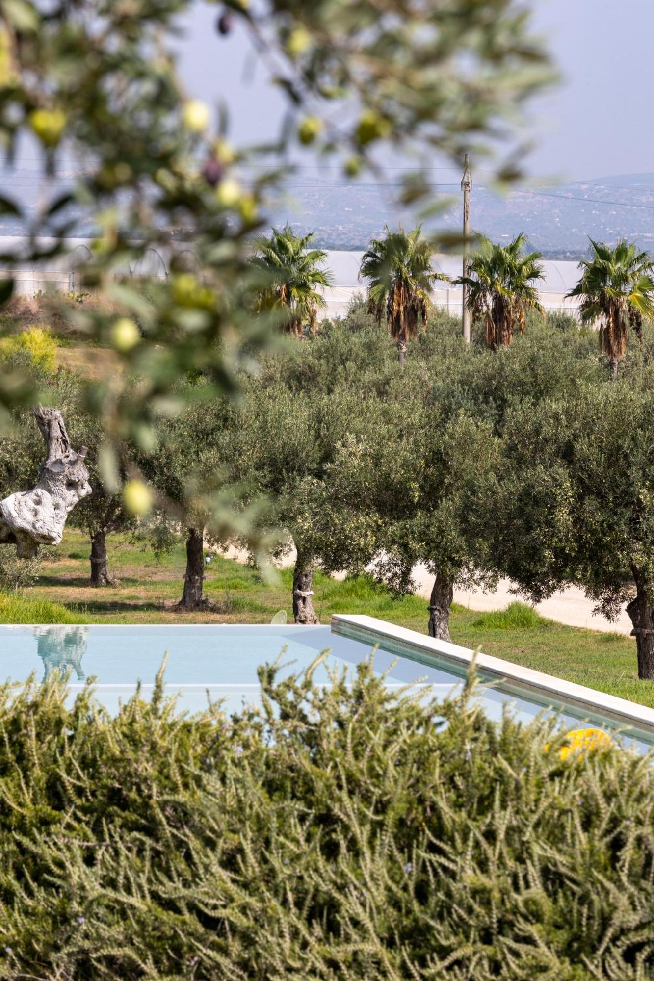 Agua Green Resort Reitani Dış mekan fotoğraf